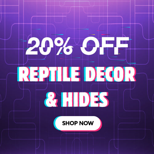 Cyber monday reptile outlet deals