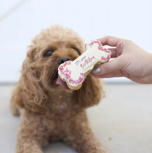 Barney's Barkery Dog Birthday Bone Cake - Pink