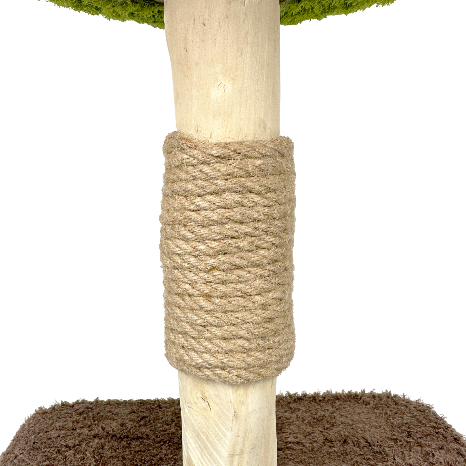 Treemendous Cat Scratching Post