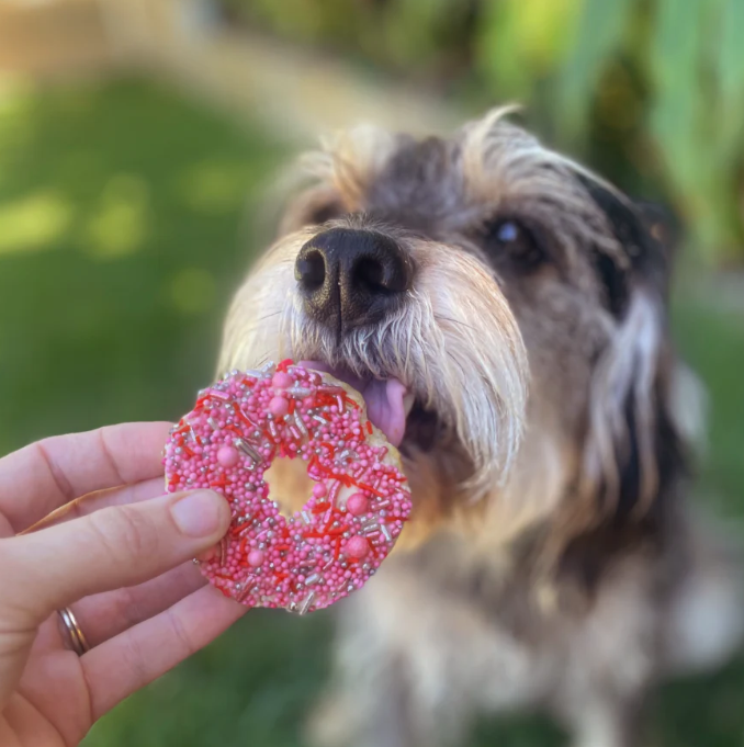 Barney's Barkery Dog Donut Biscuit - Pink