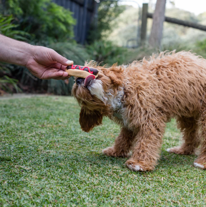 Barney's Barkery Pawty Hot Dog Treat