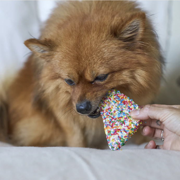 Barney's Barkery Fairy Bread Dog Treat