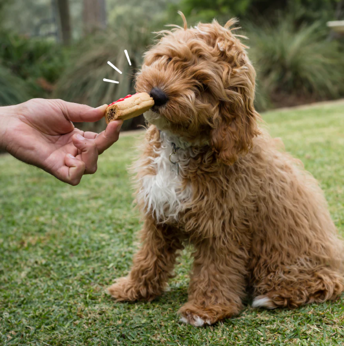 Barney's Barkery Pawty Sausage Roll Dog Treat