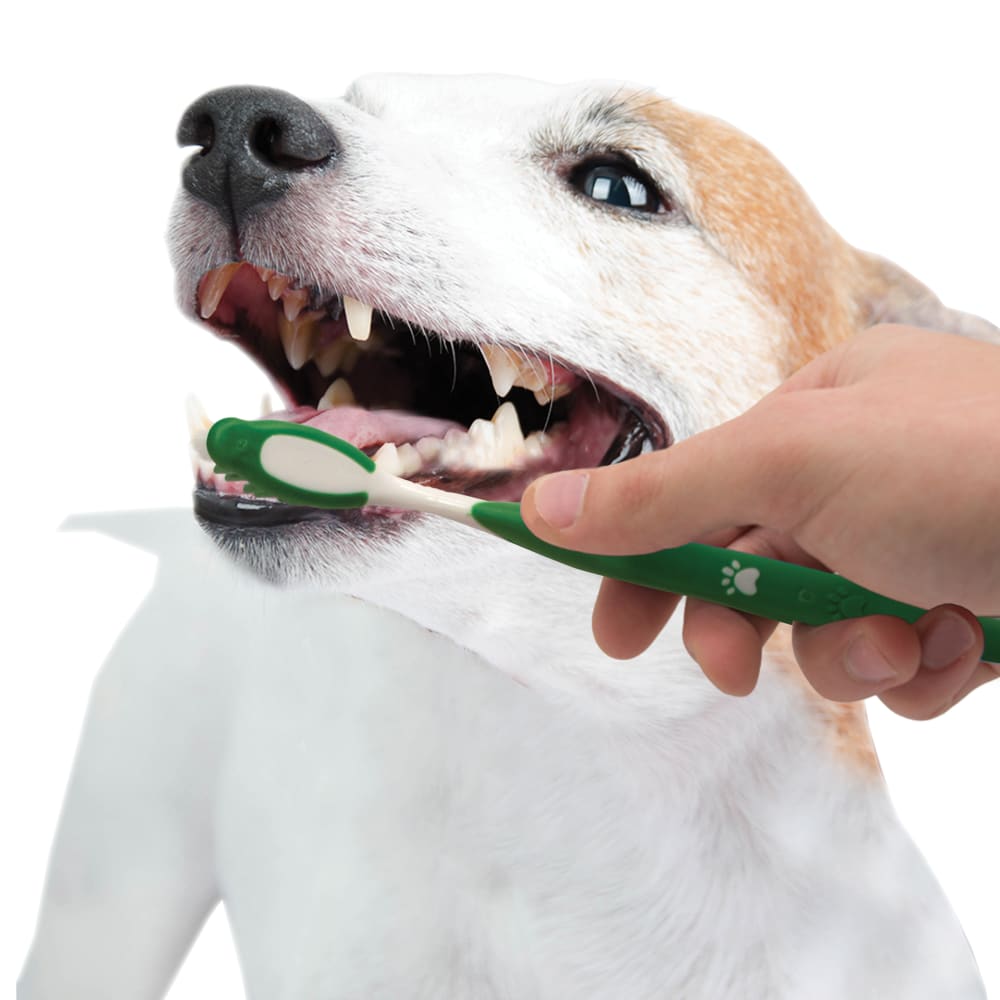 Advanced Oral Care Natural Dental Kit for Dogs