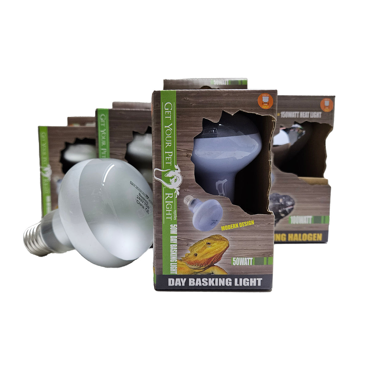 Basking heat outlet lamp