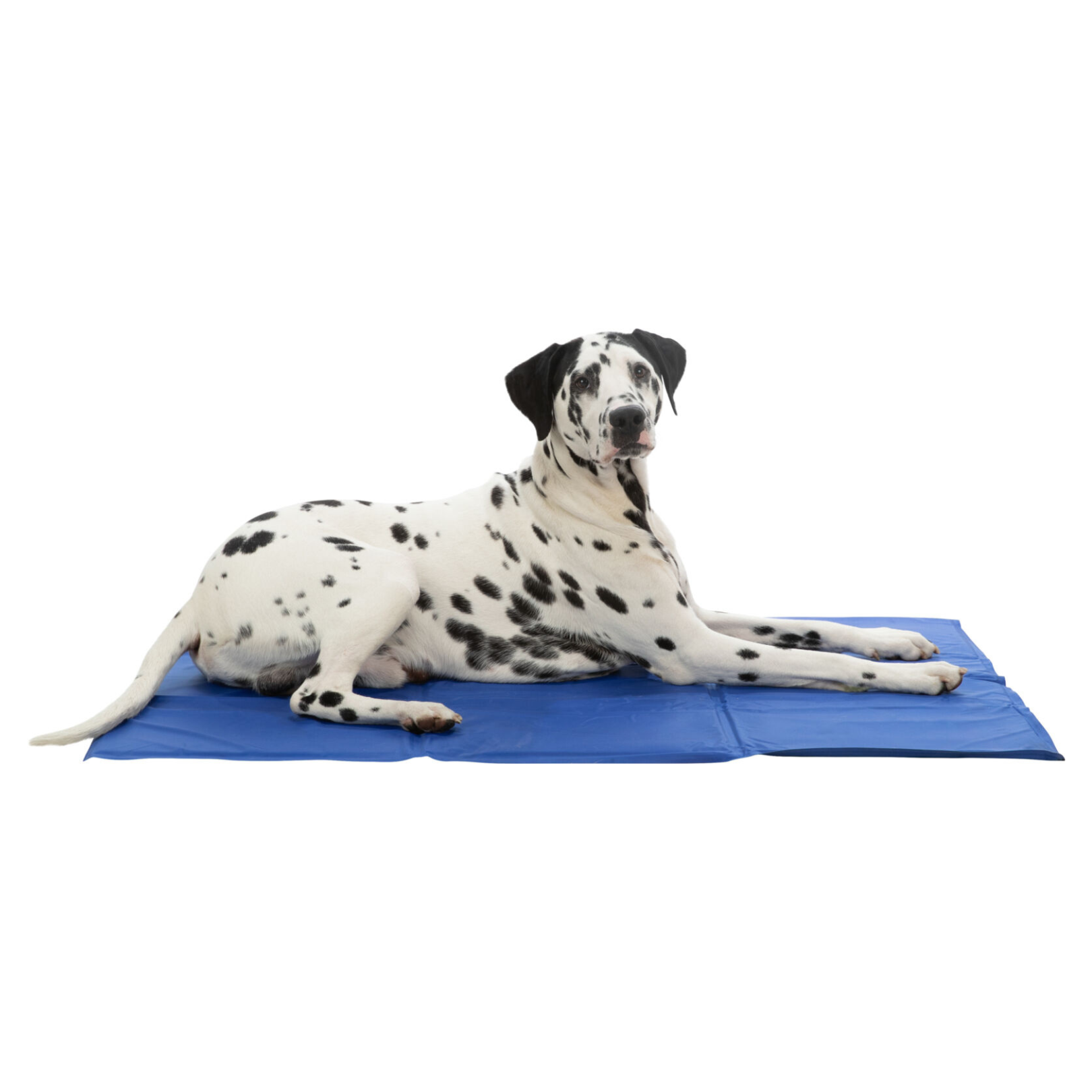 Trixie Pet Cooling Mat