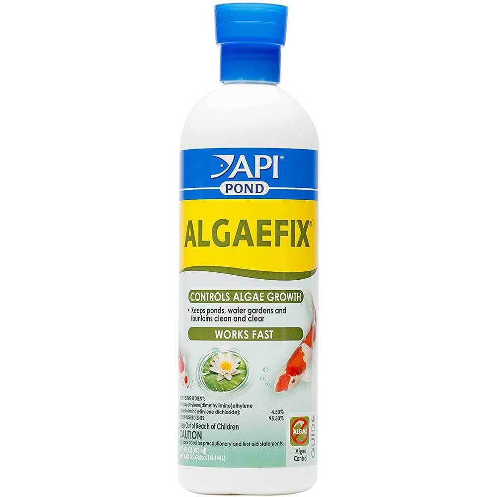 API Pond Algae Fix