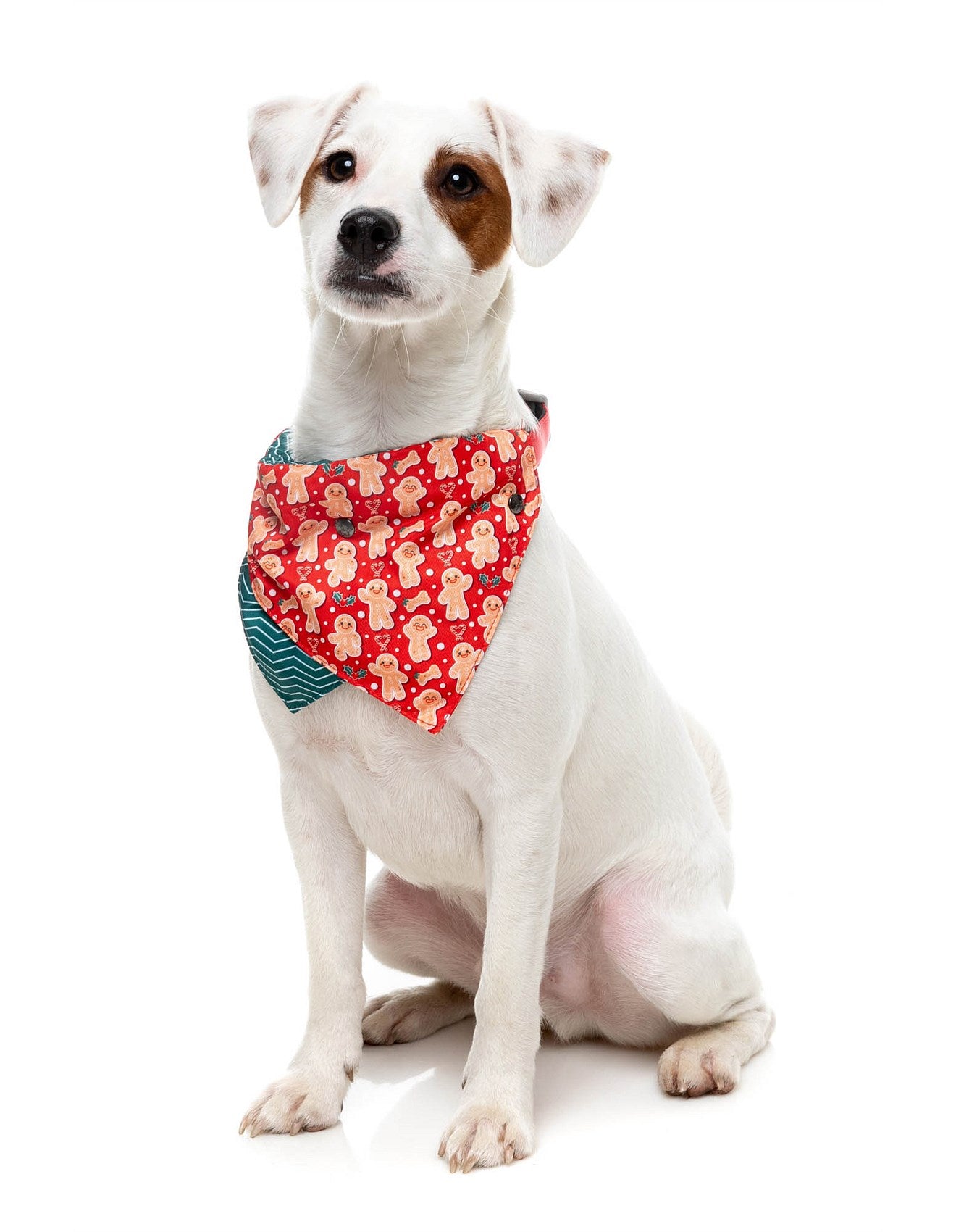 Holly Jolly Christmas Bowtie and Bandana Pack - Small/Medium