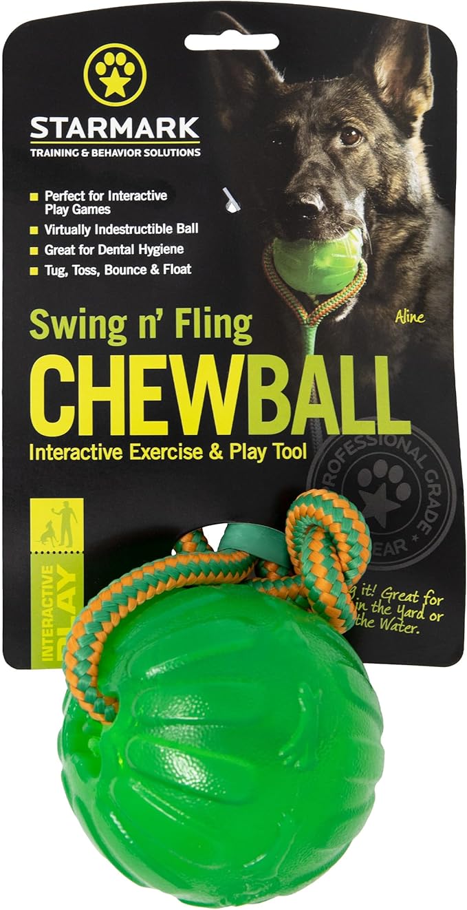 Swing n' Fling ChewBall Toy