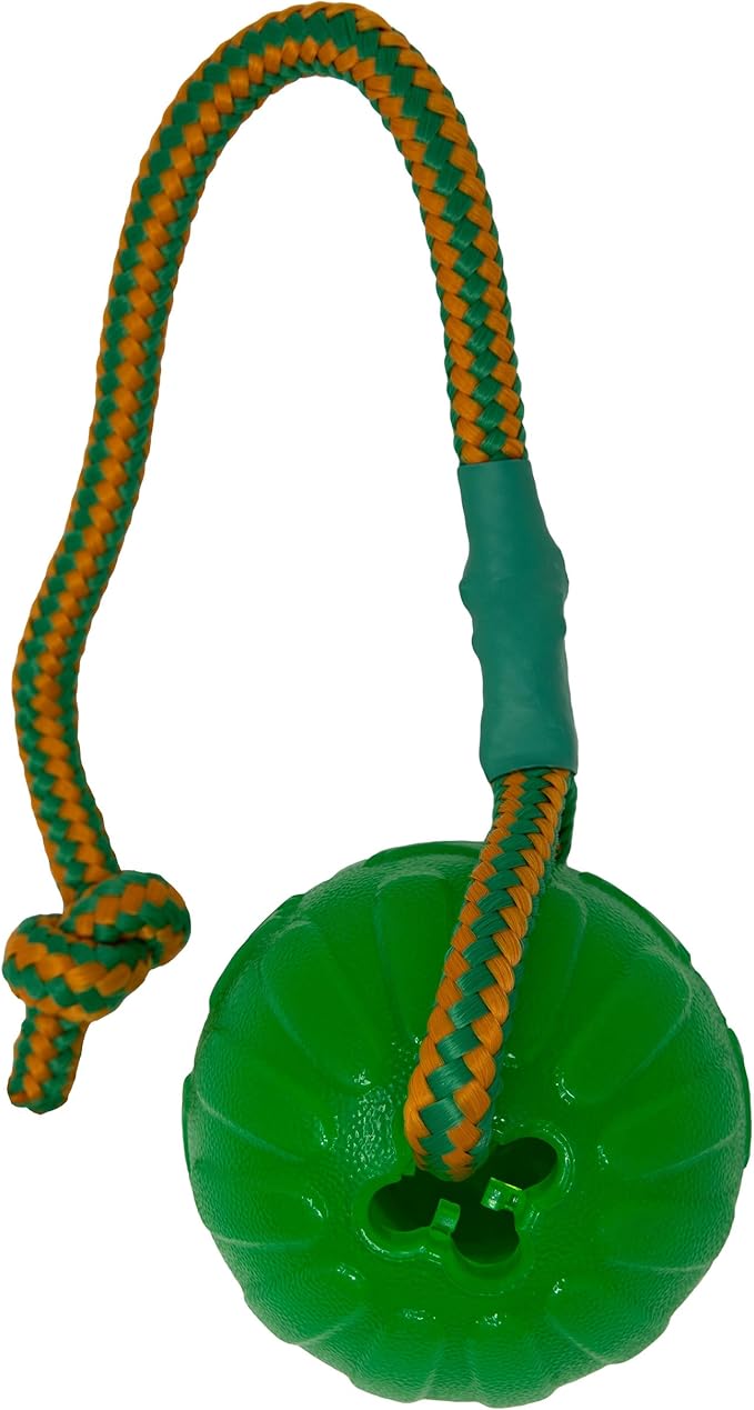 Swing n' Fling ChewBall Toy