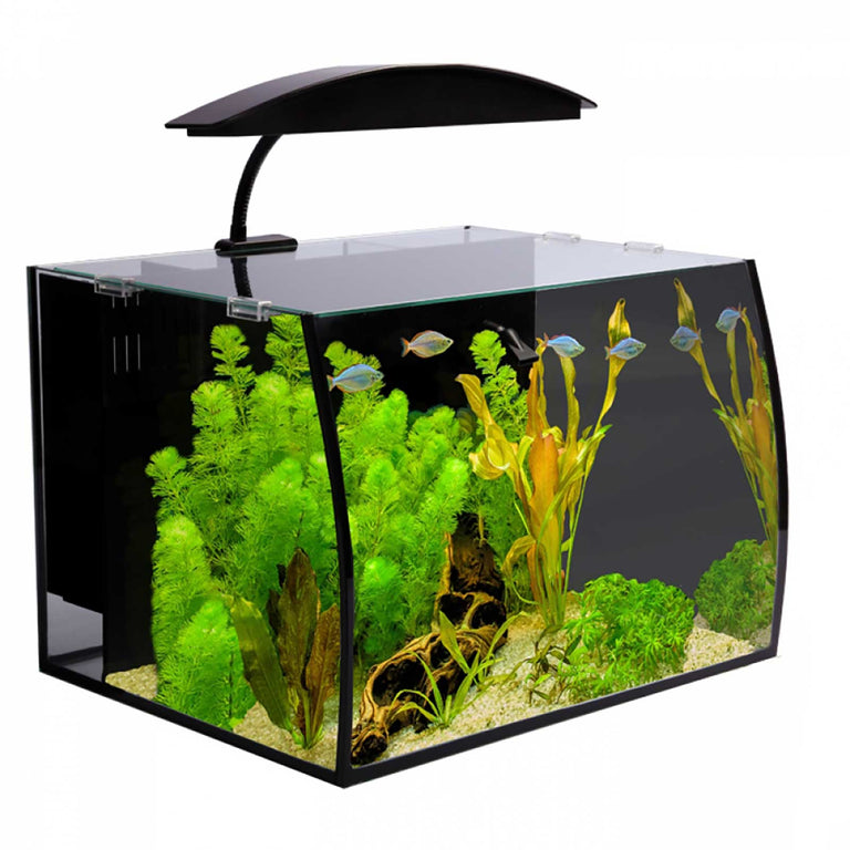 Fish Tanks, Aquariums, and Tank Furniture | Kellyville Pets