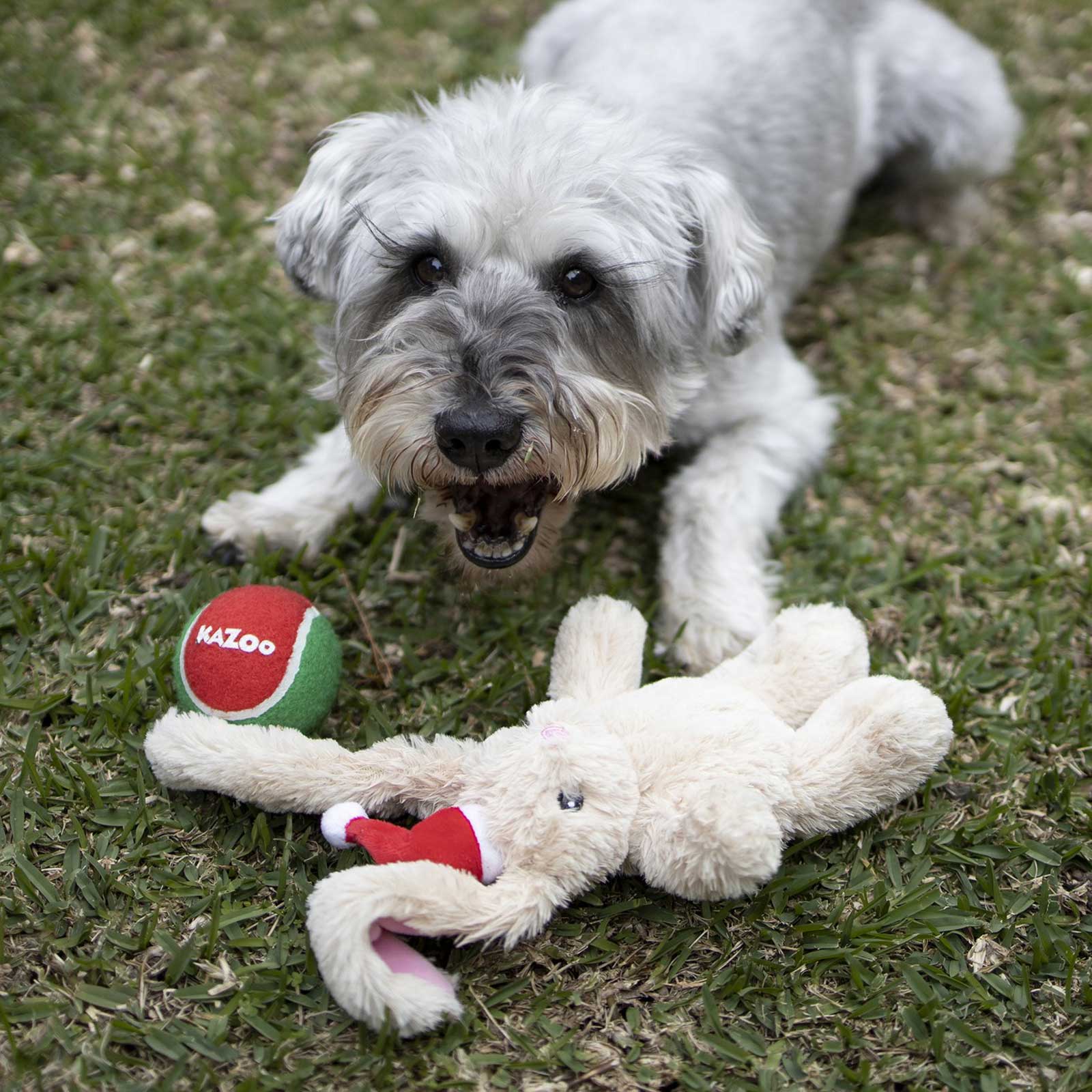 Kazoo Xmas Dog Toy Santa Paws Ball